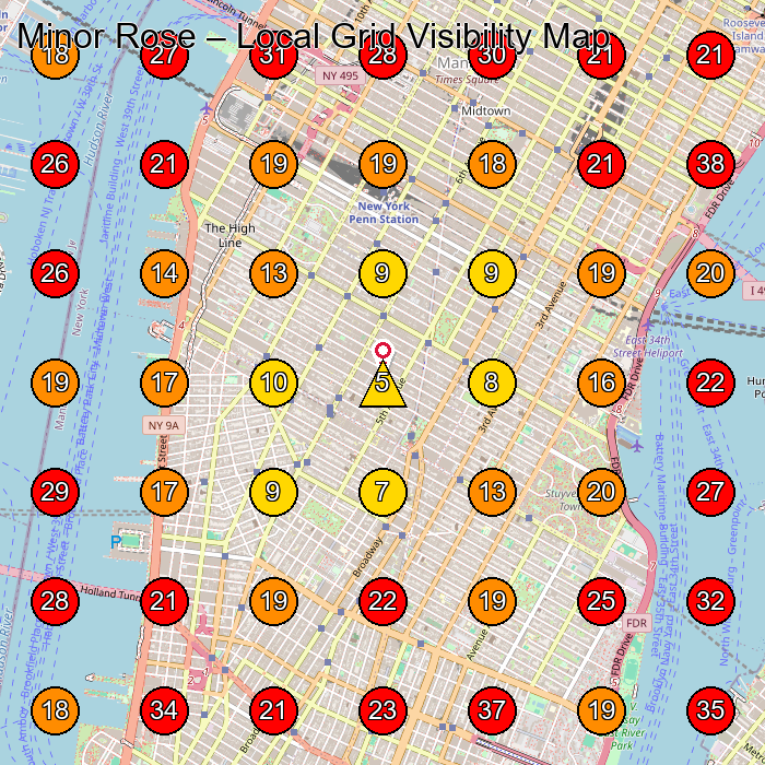 Minor Rose GeoGrid visibility map for Hair Salon in New York